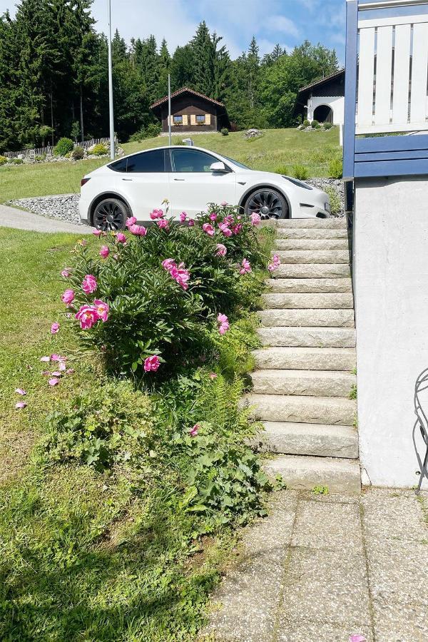 Haus Waldblick Apartment Philippsreut Exterior foto